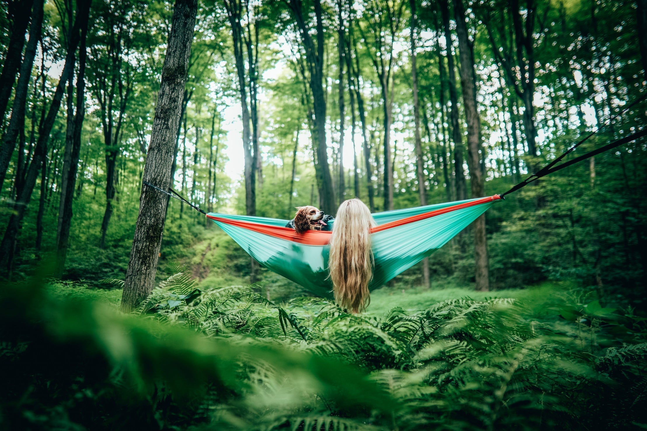 outdoor
