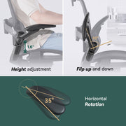 H1 Classic Ergonomic Office Chair