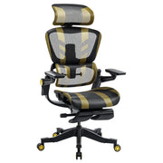 HINOMI H1 Pro Ergonomic Office Chair (Referral)