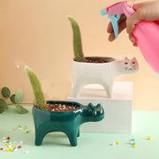 Cat Ceramic Planter