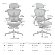 HINOMI H1 Pro Ergonomic Chair(Test)