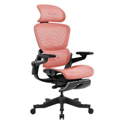 HINOMI H1 Pro Ergonomic Office Chair (Referral)